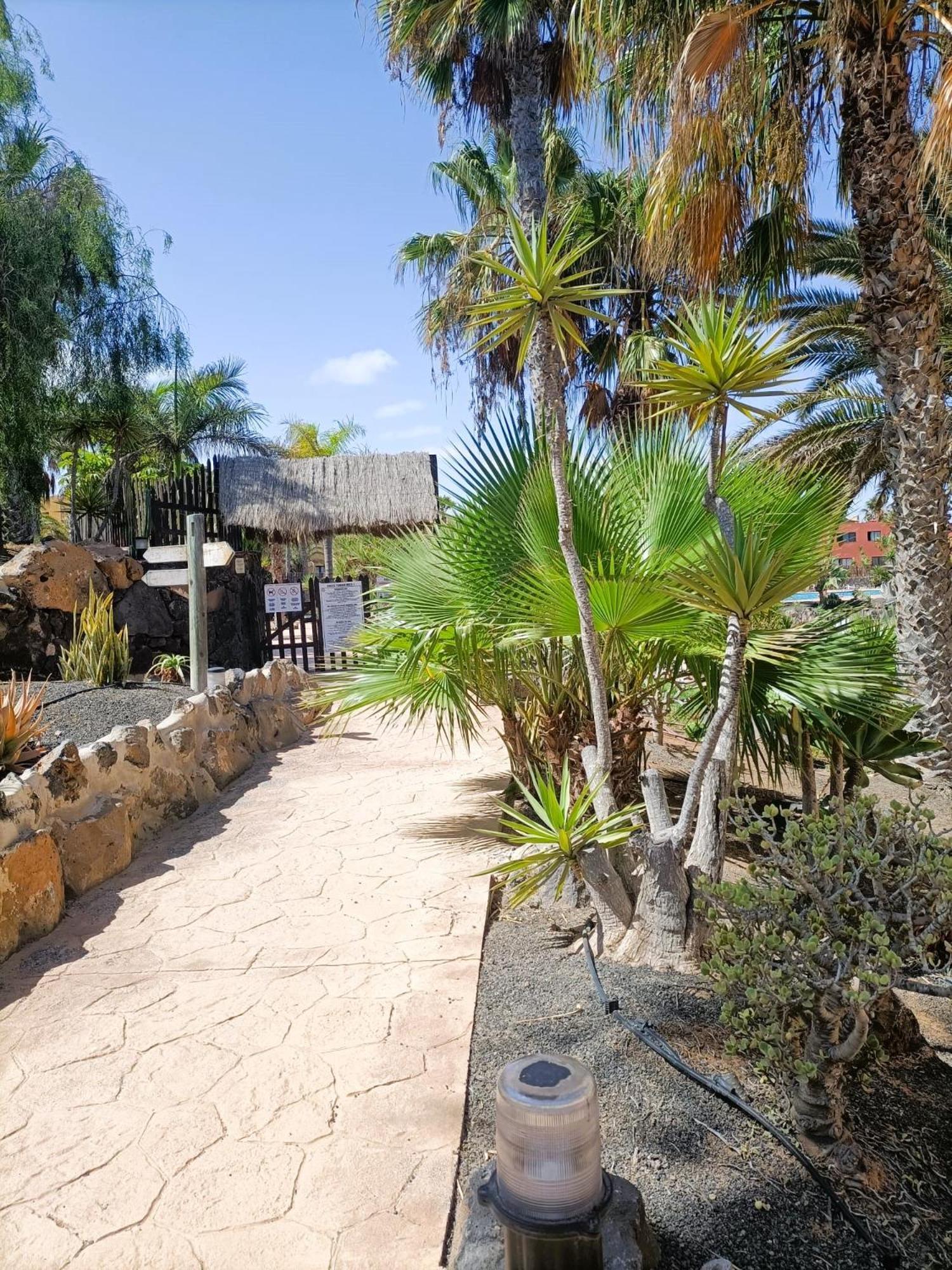 Casa Vacanza In Oasis Tamarindo Corralejo Exterior foto